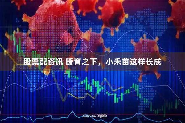 股票配资讯 暖育之下，小禾苗这样长成
